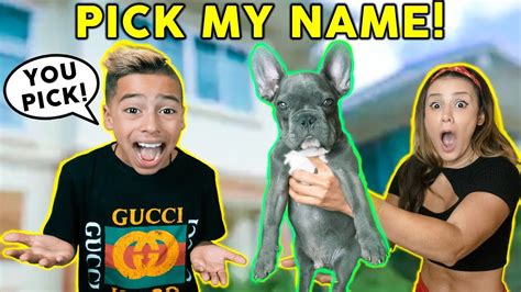 gucci from the royalty family|the royalty family getting gucci.